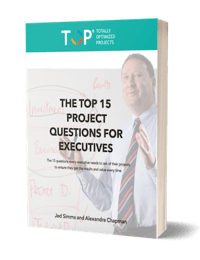 The TOP 15 Project Questions for Executives 3d Cover